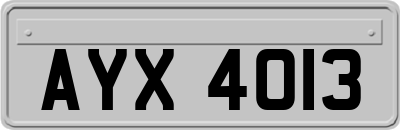 AYX4013