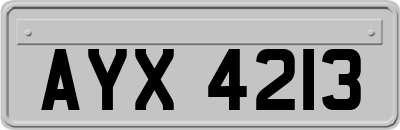 AYX4213