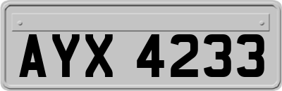 AYX4233