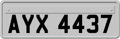 AYX4437