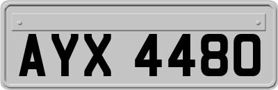 AYX4480
