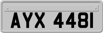AYX4481