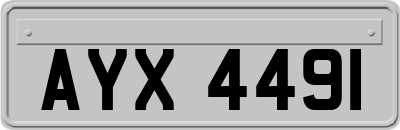 AYX4491