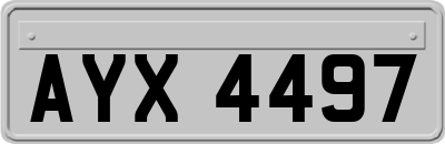 AYX4497