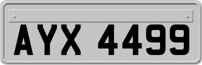 AYX4499