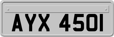 AYX4501