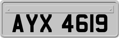 AYX4619