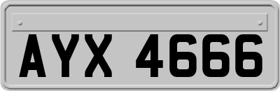 AYX4666