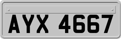 AYX4667