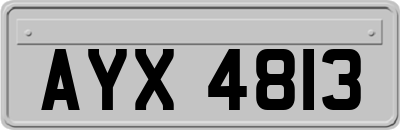 AYX4813