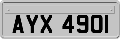 AYX4901