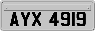 AYX4919