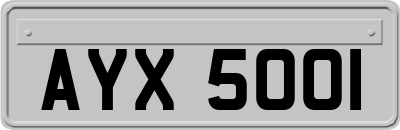 AYX5001