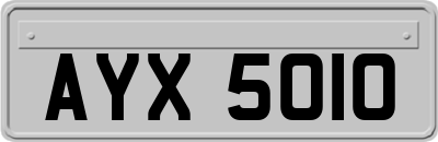 AYX5010