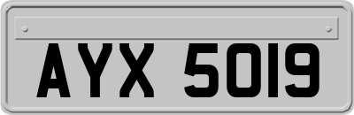 AYX5019