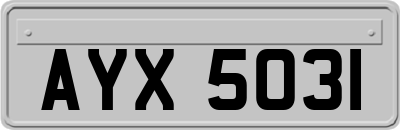 AYX5031