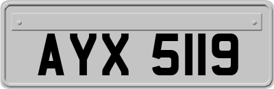 AYX5119
