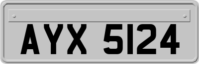 AYX5124