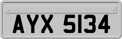 AYX5134