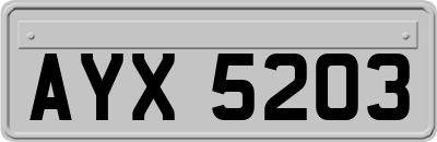 AYX5203