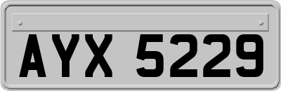 AYX5229