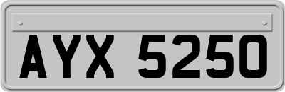 AYX5250