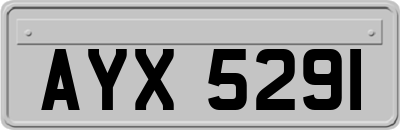 AYX5291
