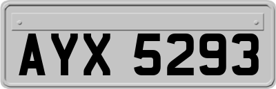 AYX5293