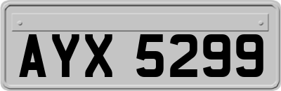 AYX5299