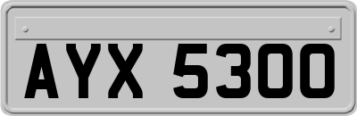 AYX5300