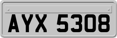 AYX5308