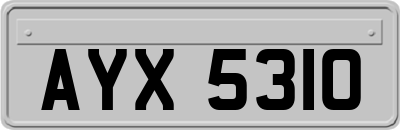 AYX5310