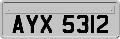 AYX5312