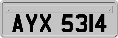 AYX5314