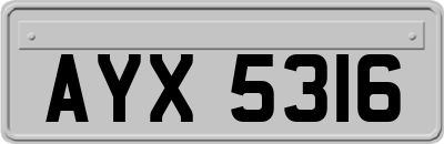 AYX5316