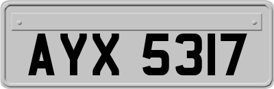 AYX5317