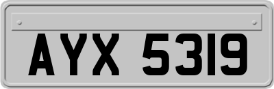 AYX5319
