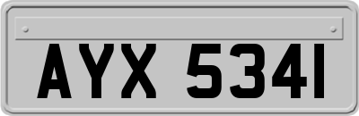 AYX5341