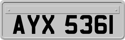 AYX5361