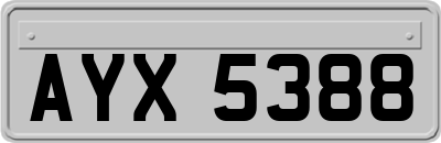 AYX5388