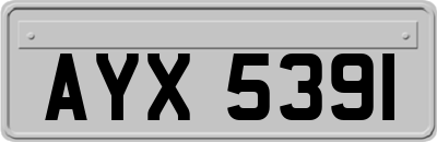 AYX5391