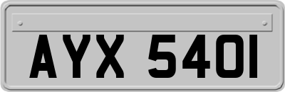 AYX5401