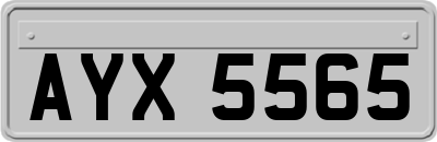 AYX5565