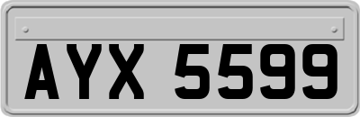 AYX5599