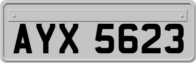 AYX5623