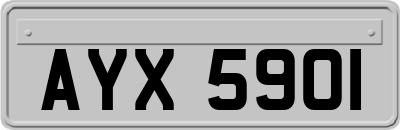 AYX5901