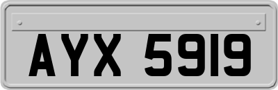 AYX5919