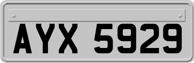 AYX5929
