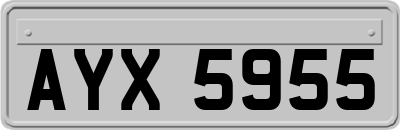 AYX5955