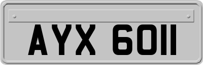 AYX6011
